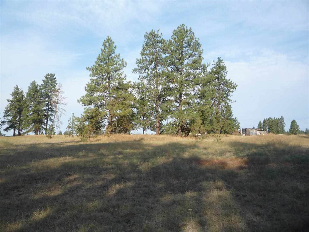 205-xx South Yale Road Spangle, WA 99031 - Photo 5 of 8
