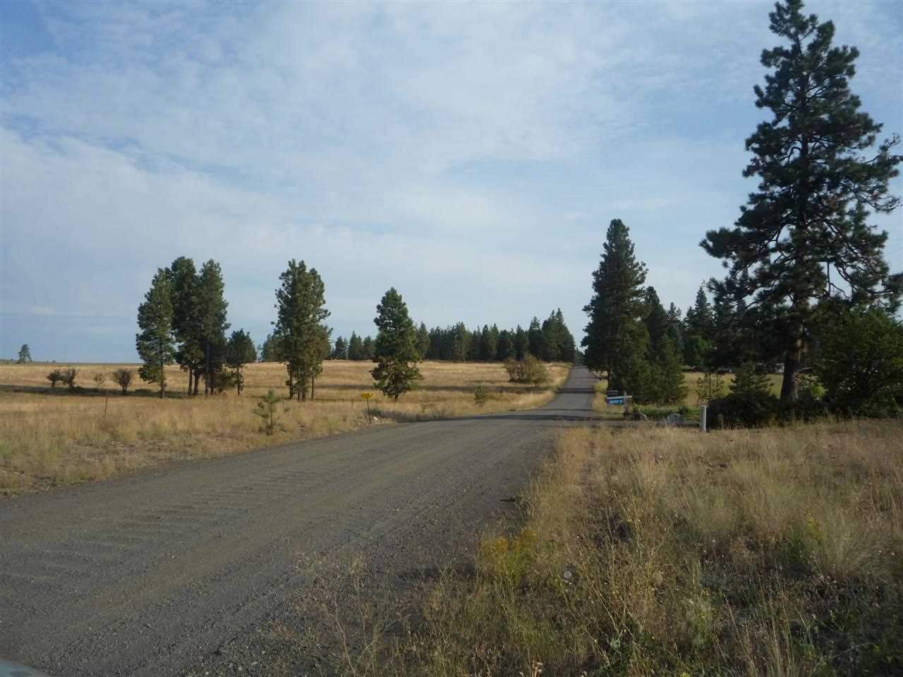 205-xx South Yale Road Spangle, WA 99031 - Photo 6 of 8