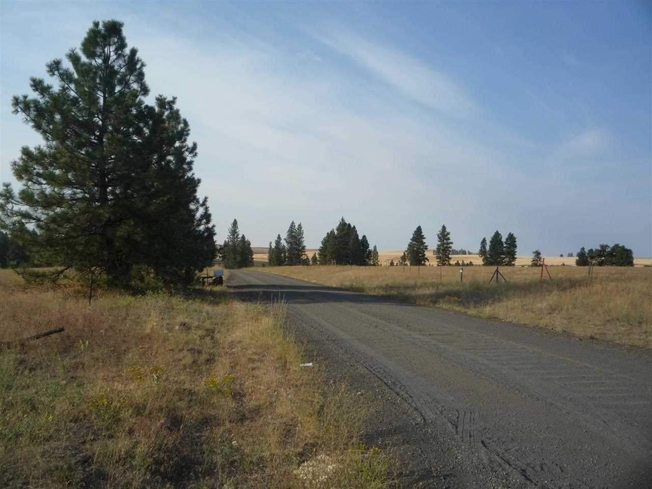 205-xx South Yale Road Spangle, WA 99031 - Photo 7 of 8