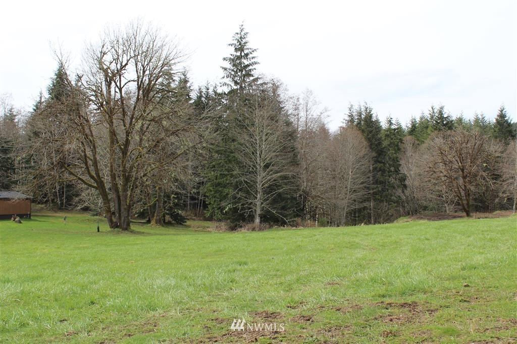 273 Short Road Morton, WA 98356 - Photo 23 of 24 Gallery Image 23