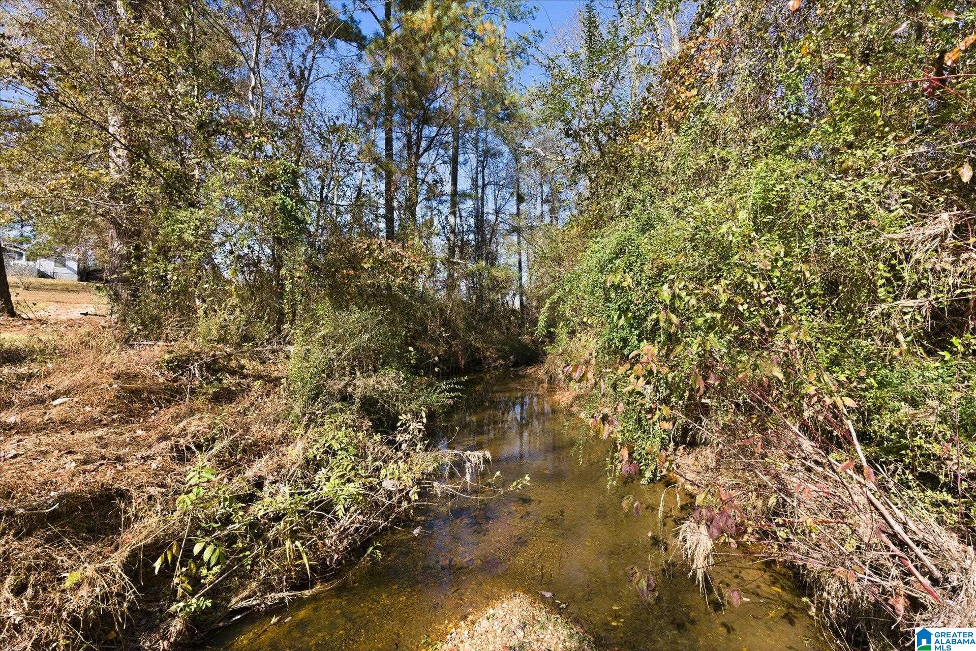 0 County Road 84 Heflin, AL 36264 - Photo 19 of 20