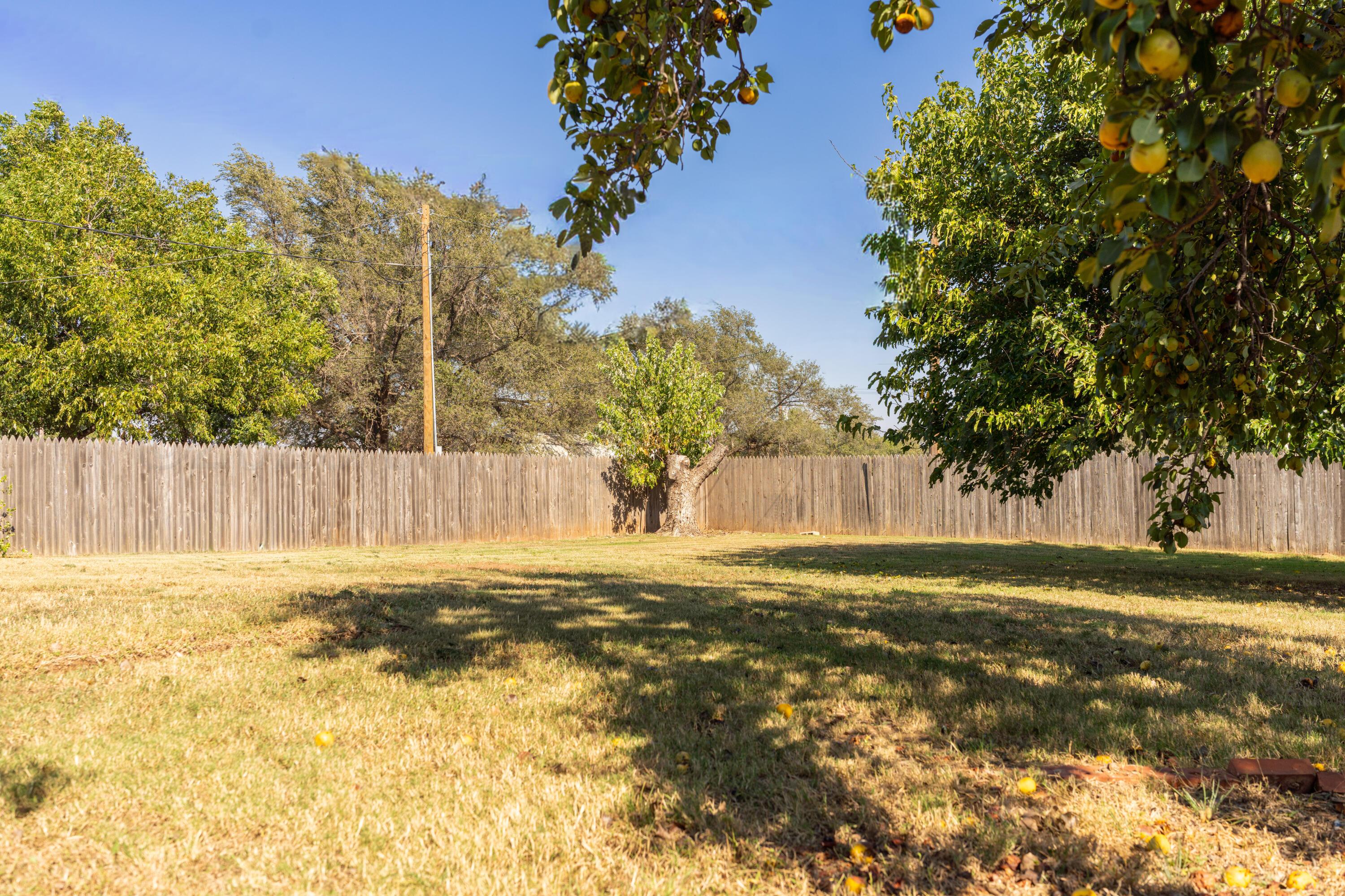 205 South Main Street Wheeler, TX 79096 - Photo 9 of 46 DSC07063