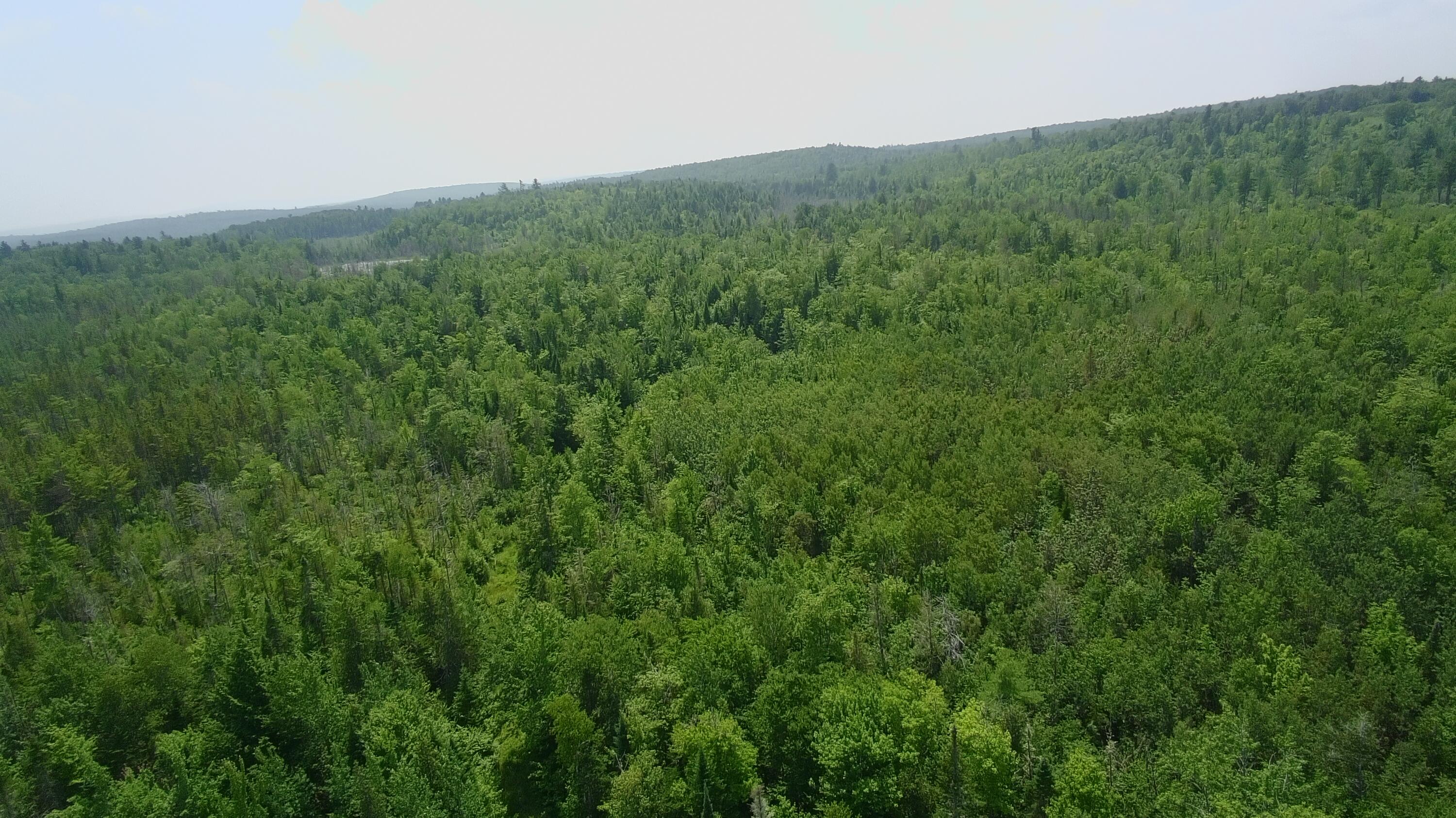 266 Crow Hill Road Parkman, ME 04443 - Photo 62 of 65 4419805_100DRONE_SING0148