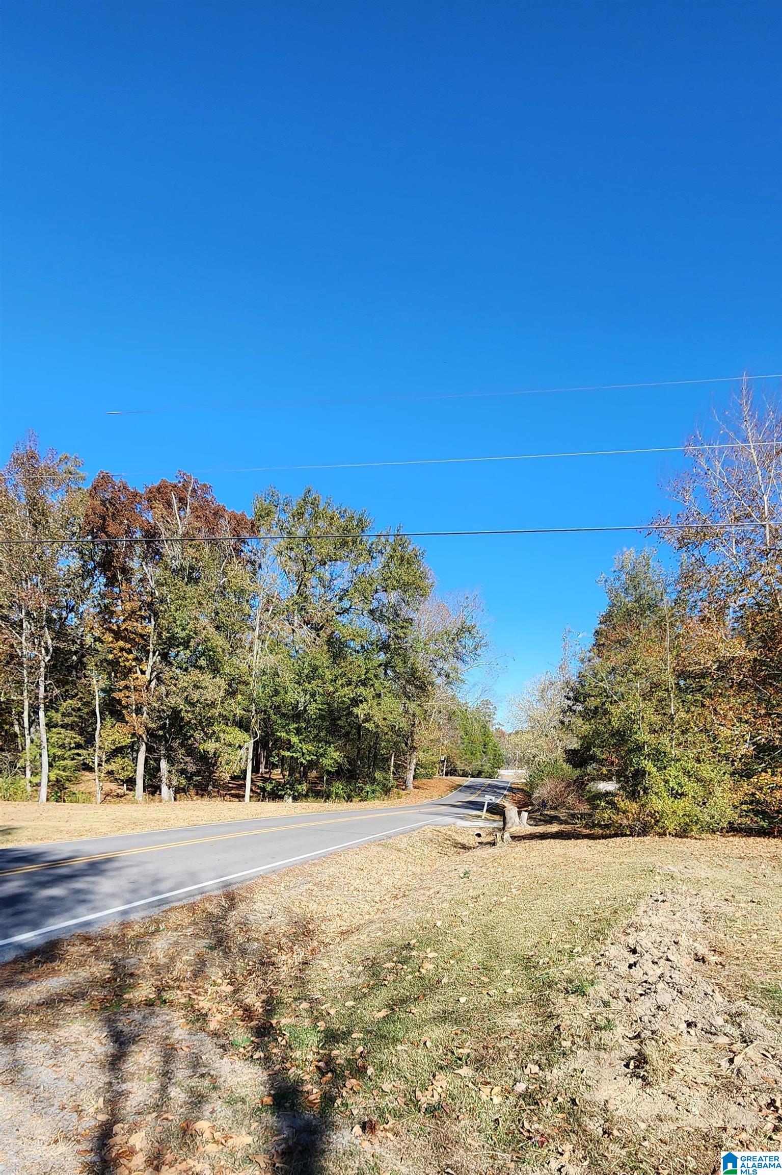 2441 Springville Boulevard Oneonta, AL 35121 - Photo 13 of 36 Gallery Image 13