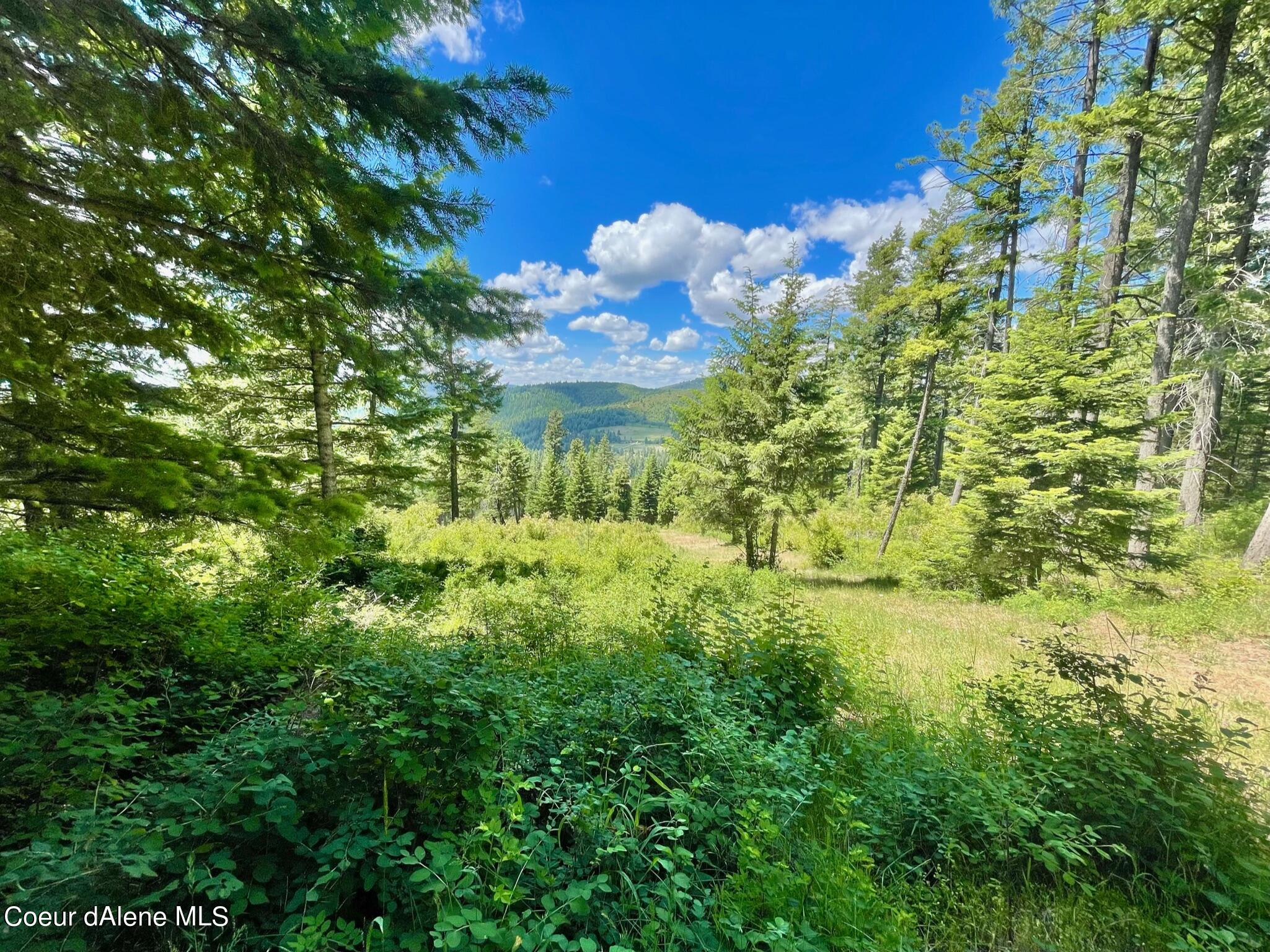 Nka North Nka North Monarch Road Plummer, ID 83851 - Photo 1 of 1 01d623b0aebceb7f6c84923a71bf1eeb2be2a510