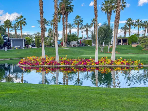 a view of a park with large trees and a table and chairs