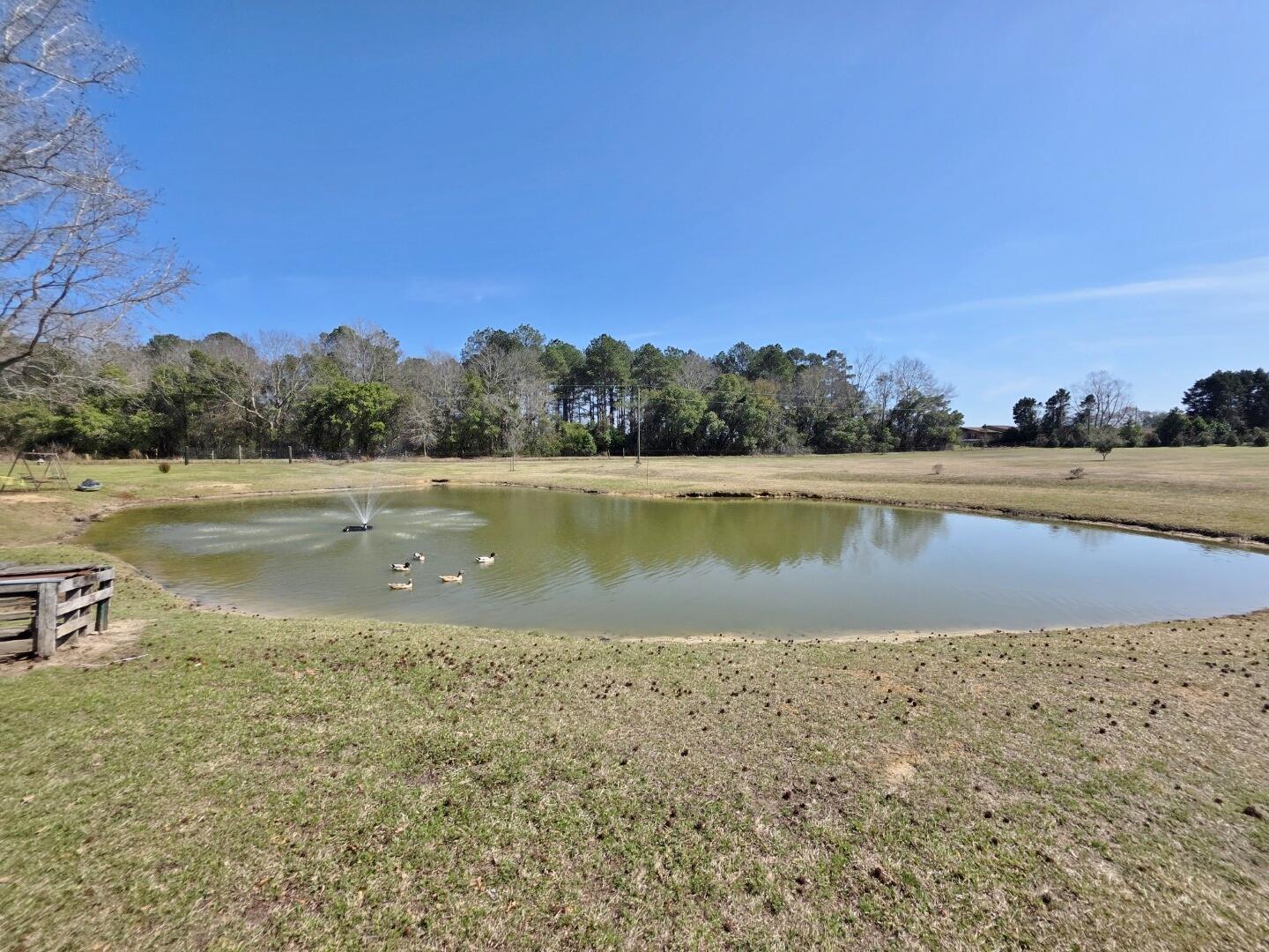 3135 Cox Road Sumter, SC 29154 - Photo 33 of 52 3135 Cox Rd (30)