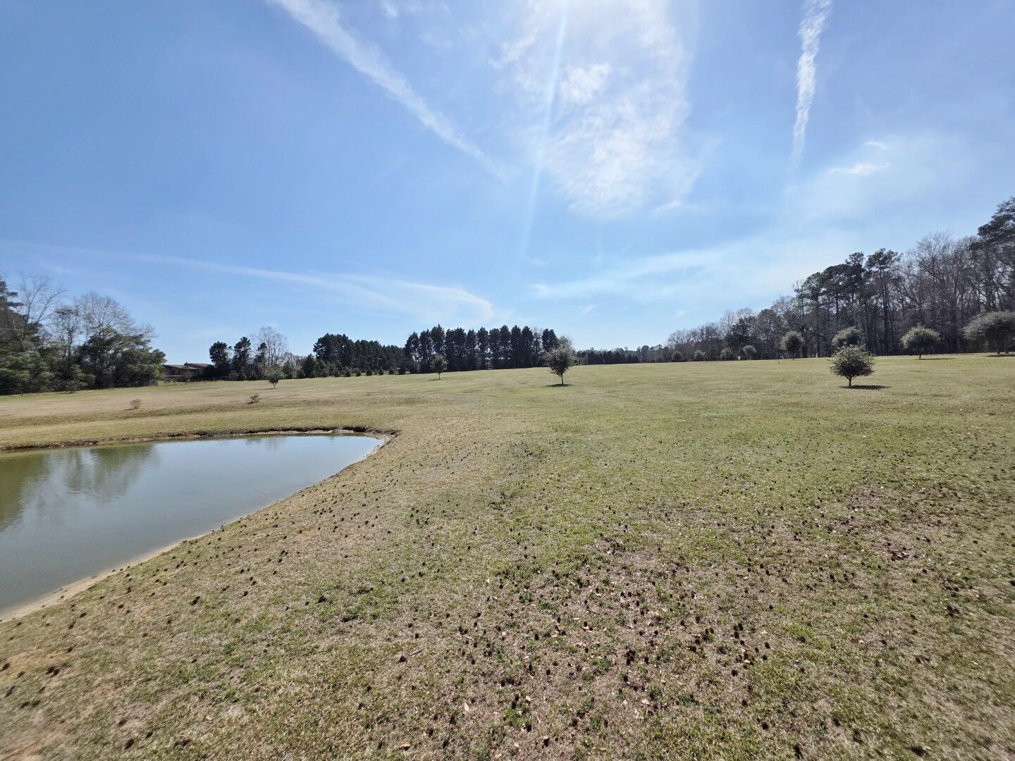 3135 Cox Road Sumter, SC 29154 - Photo 34 of 52 3135 Cox Rd (31)