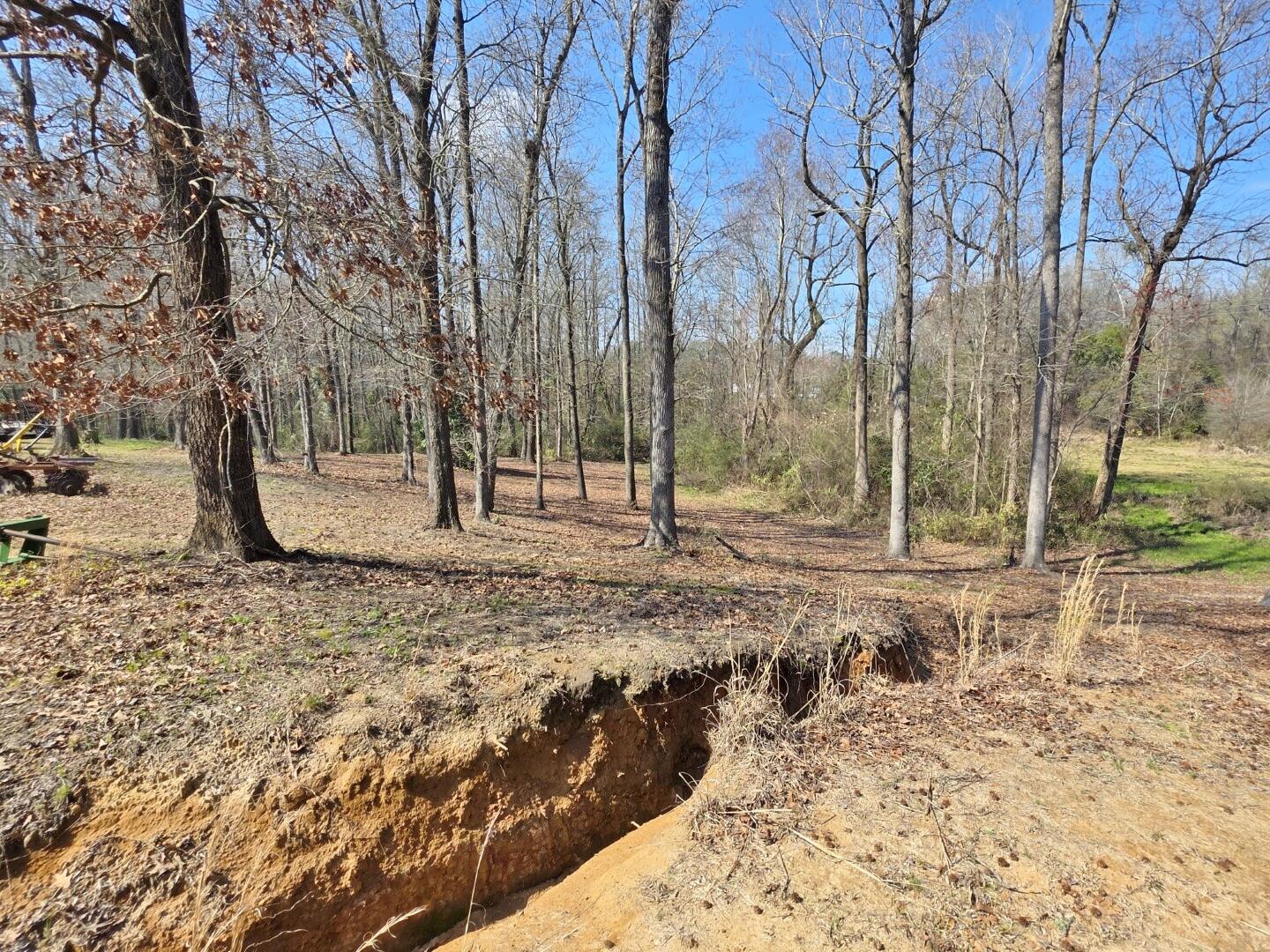 3135 Cox Road Sumter, SC 29154 - Photo 48 of 52 3135 Cox Rd (46)