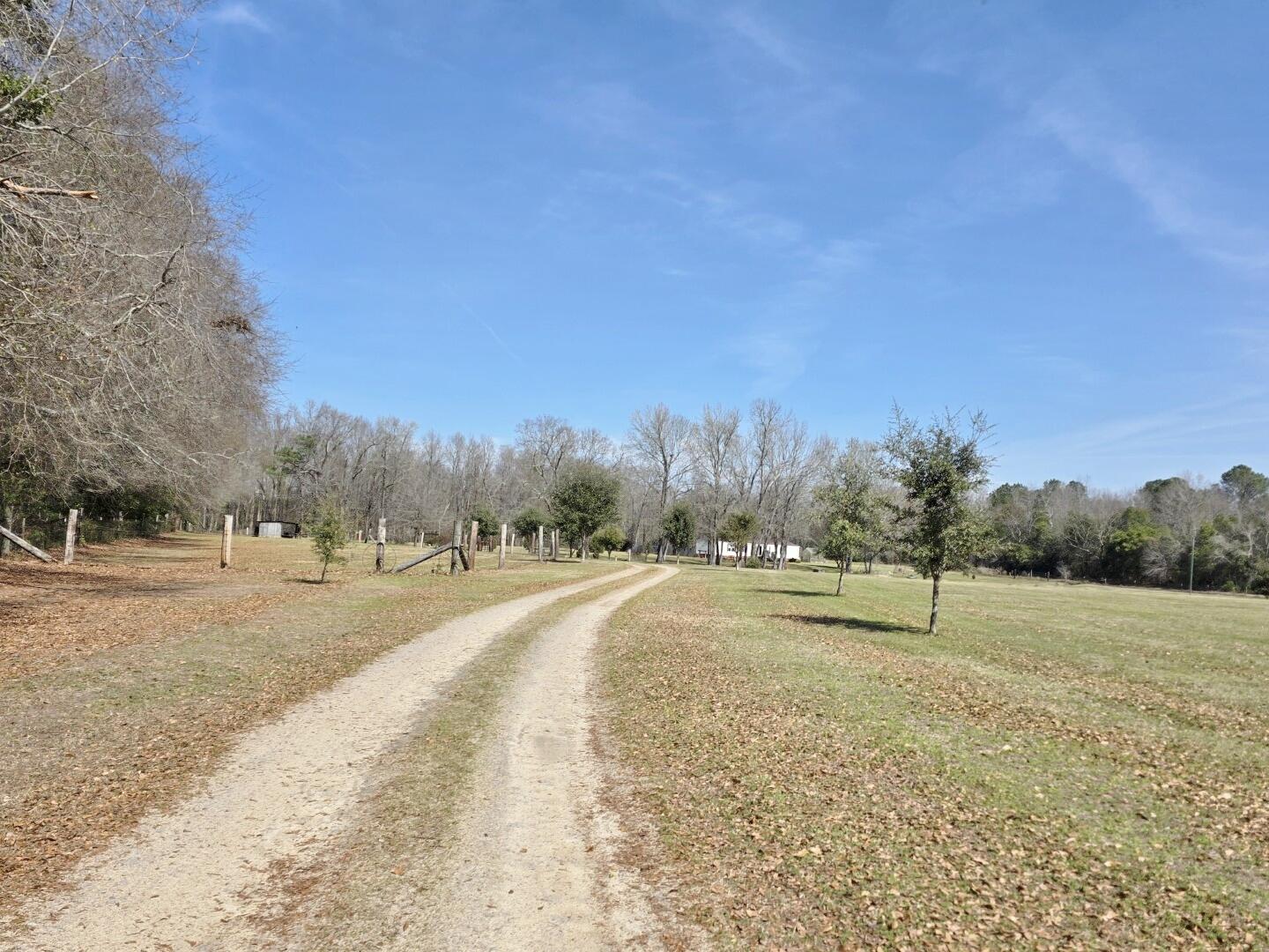 3135 Cox Road Sumter, SC 29154 - Photo 5 of 52 3135 Cox Rd (7)