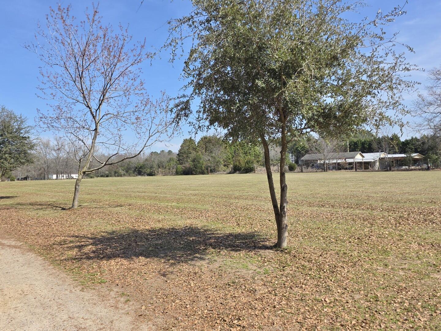 3135 Cox Road Sumter, SC 29154 - Photo 6 of 52 3135 Cox Rd (6)