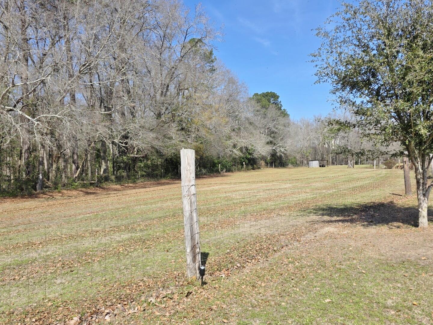 3135 Cox Road Sumter, SC 29154 - Photo 7 of 52 3135 Cox Rd (8)