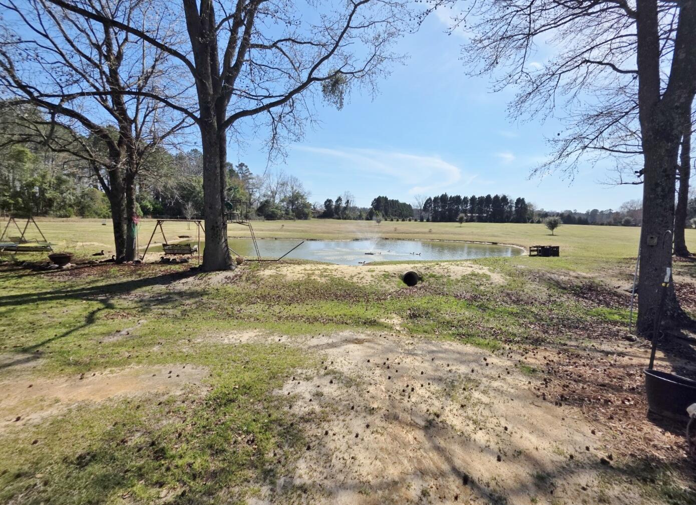 3135 Cox Road Sumter, SC 29154 - Photo 10 of 52 3135 Cox Rd (26)