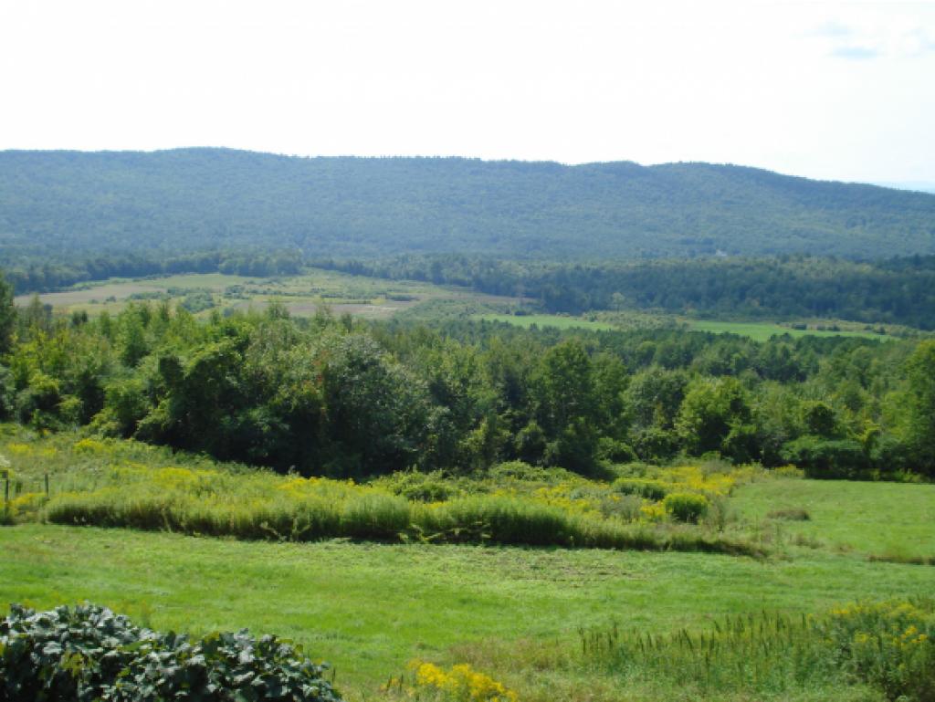 124 Straw Hill Road Claremont, NH 03743 - Photo 20 of 29 Gallery Image 20