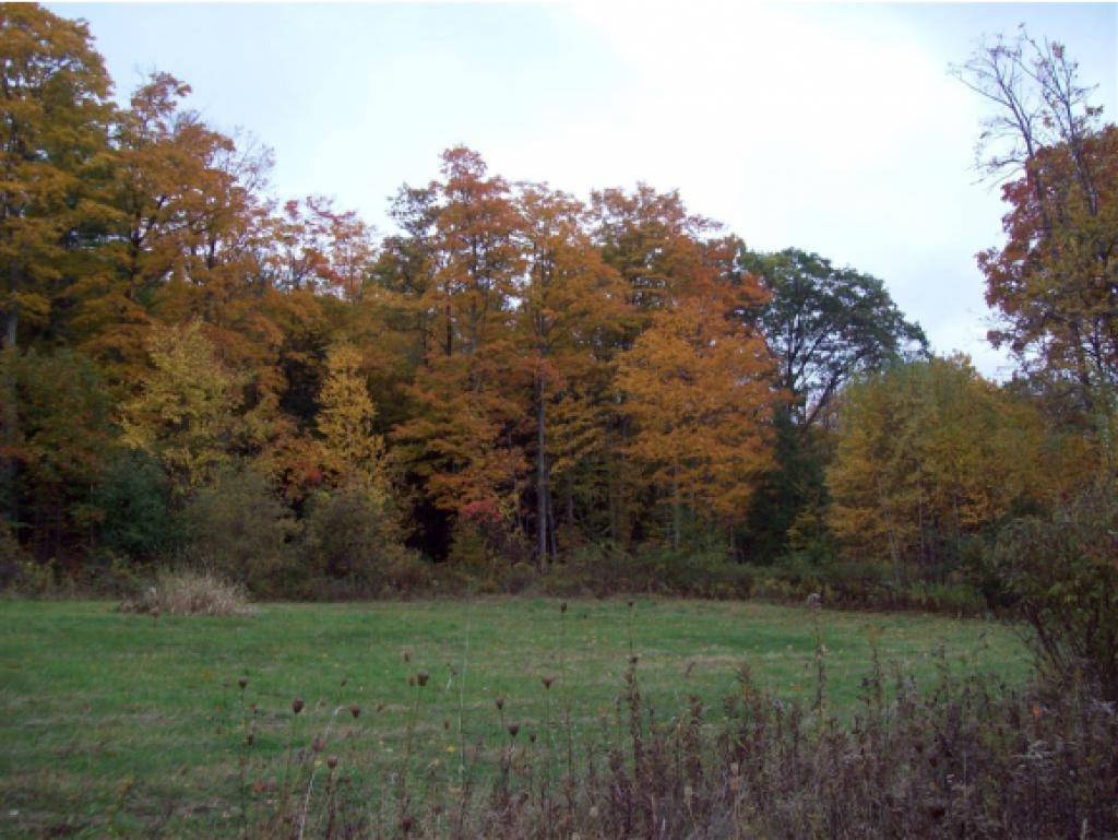124 Straw Hill Road Claremont, NH 03743 - Photo 28 of 29 Gallery Image 28