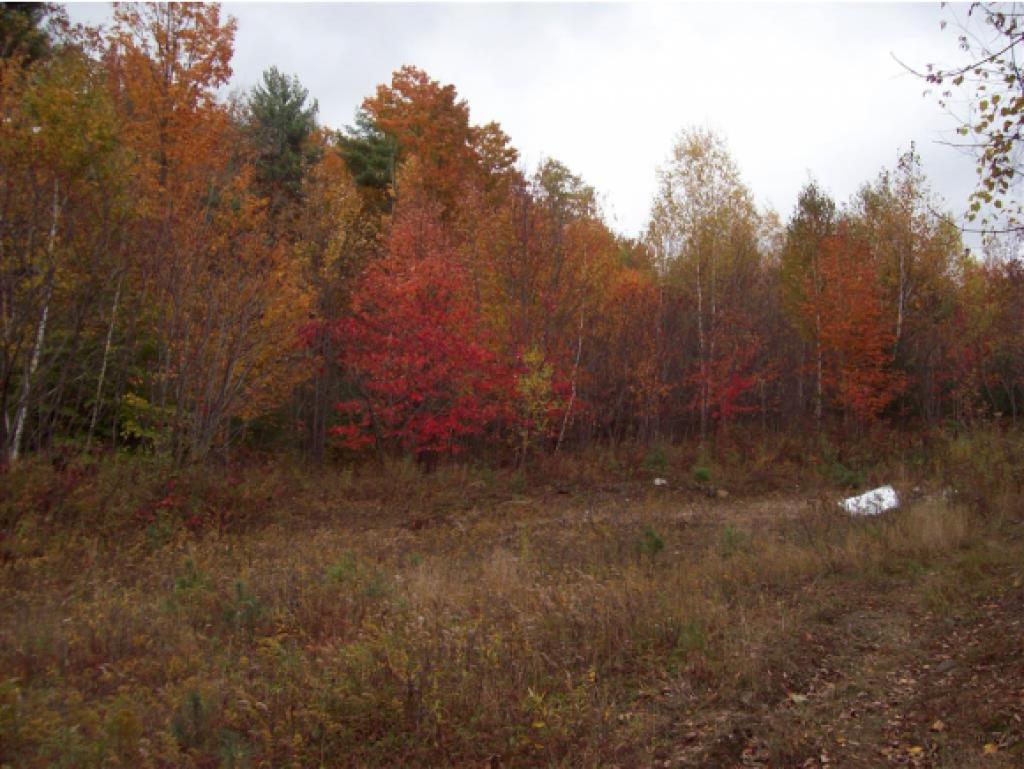124 Straw Hill Road Claremont, NH 03743 - Photo 29 of 29 Gallery Image 29