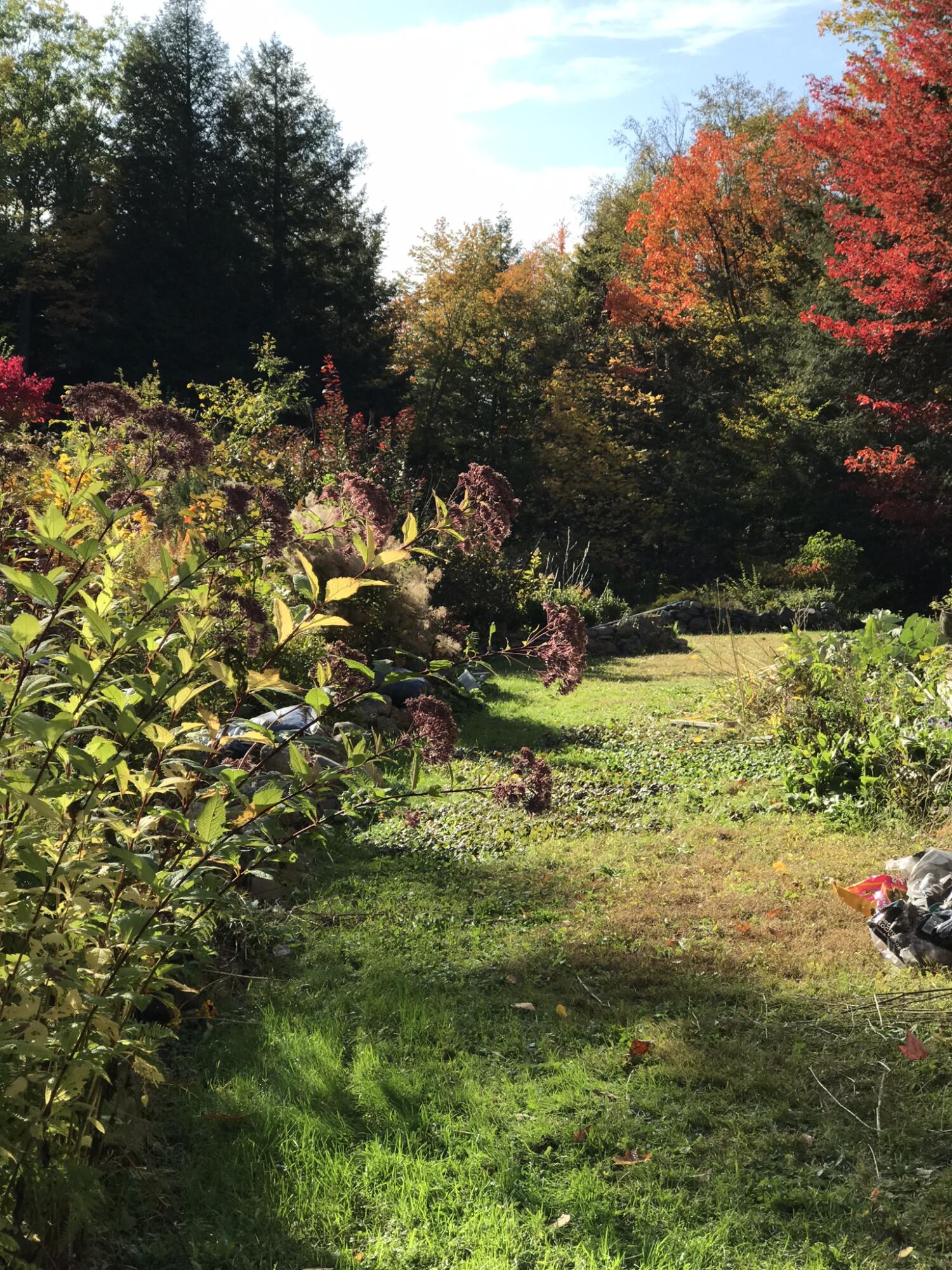164 Carmel Road South Hampden, ME 04444 - Photo 71 of 84 IMG_0828