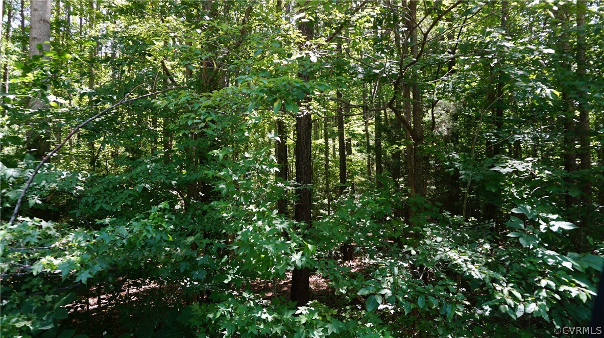 Xx Courthouse Road Blackstone, VA 23824 - Photo 4 of 4 Gallery Image 4