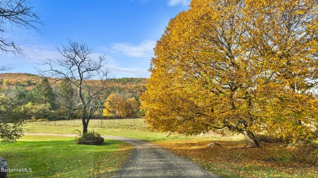a view of yard with swimming pool
