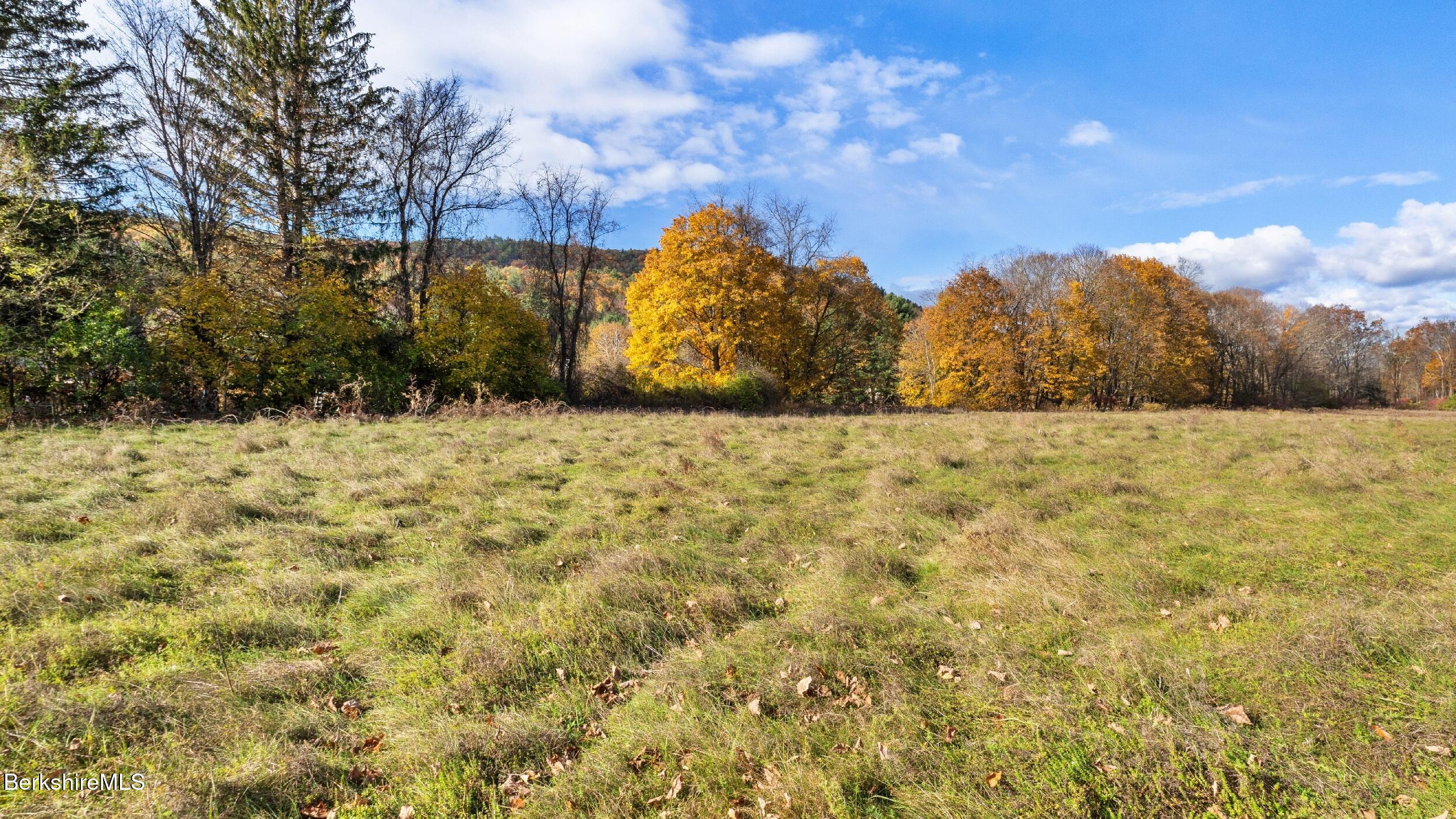 353 State Road Great Barrington, MA 01230 - Photo 8 of 56 Meadow