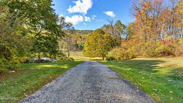 a view of a yard with large trees