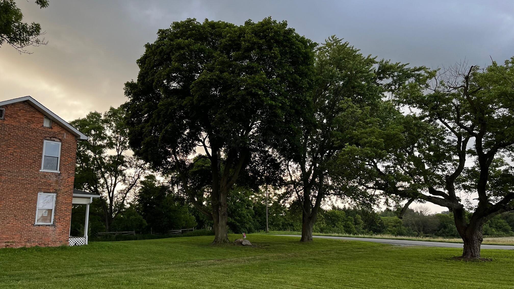 1200 Markley Road London, OH 43140 - Photo 40 of 43 100 Year Old Trees