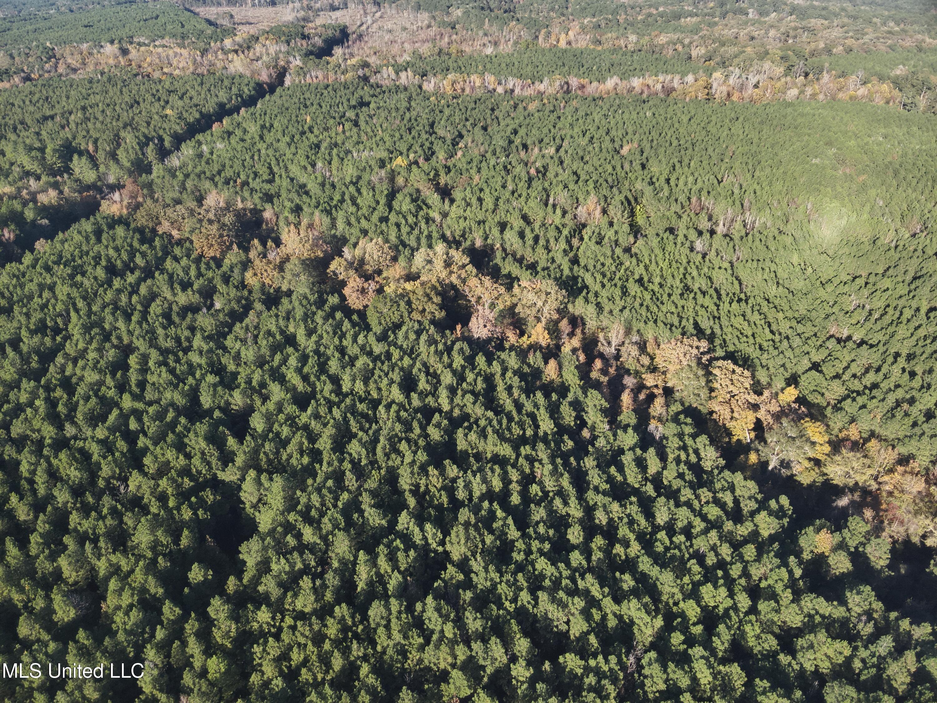 4 Whiddon Road Canton, MS 39046 - Photo 38 of 45 DJI_20251109151931_0008_V