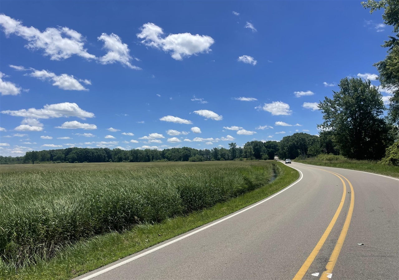 Parcel B Browns Lake Road Jackson, MI 49201 - Photo 5 of 11