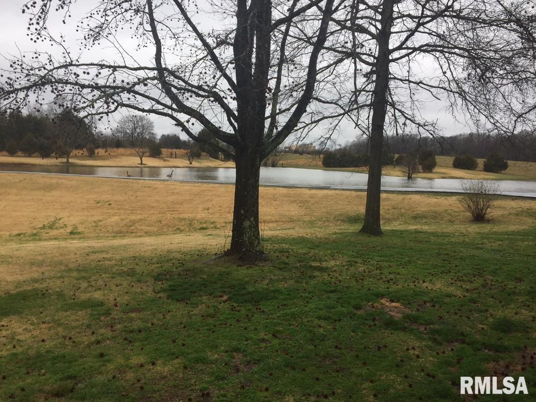 10372 Grassy Road Marion, IL 62959 - Photo 3 of 40