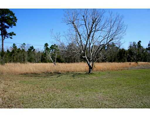 7701 Pointe Aux Chenes Road Ocean Springs, MS 39564 - Photo 9 of 13 Additional Photo