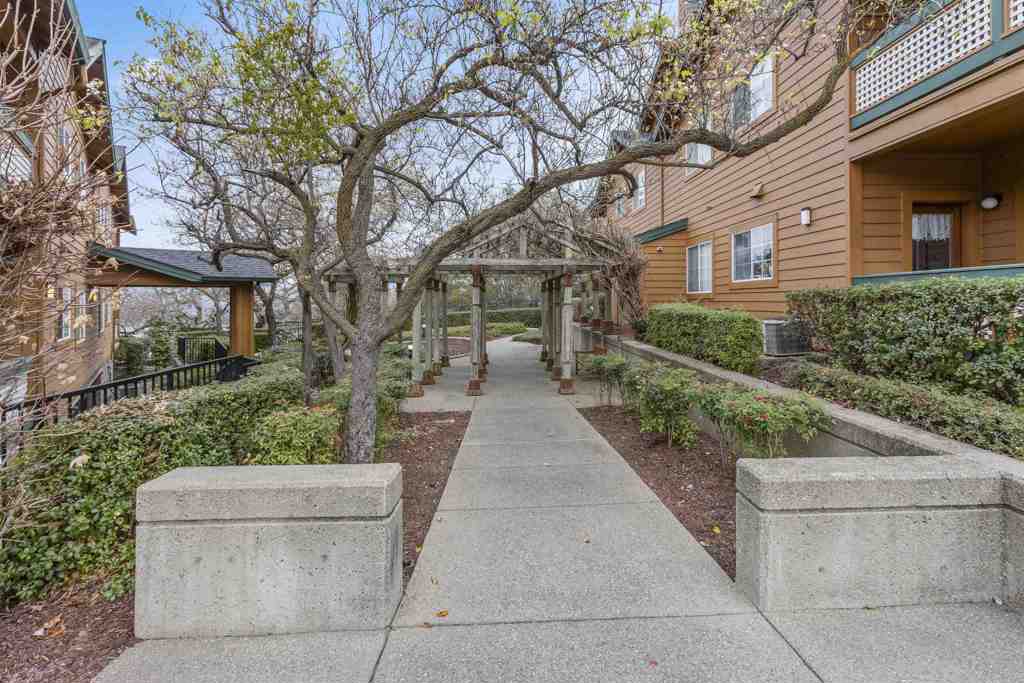 113-113 Stone Pine Lane San Ramon, CA 94583 - Photo 27 of 31