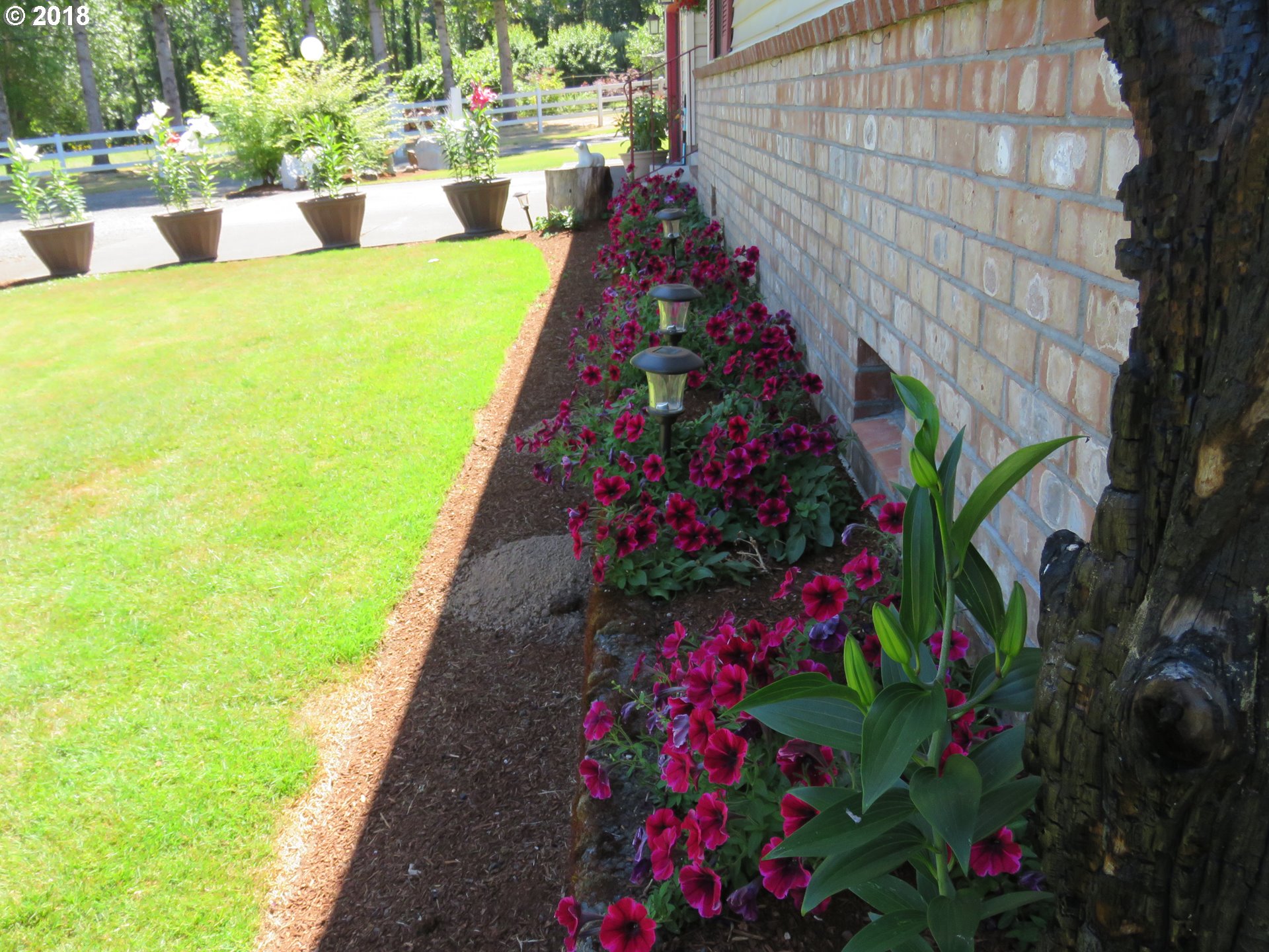 7635 Southeast Barbara Welch Road Portland, OR 97236 - Photo 23 of 26 a view of a swimming pool with a garden and plants