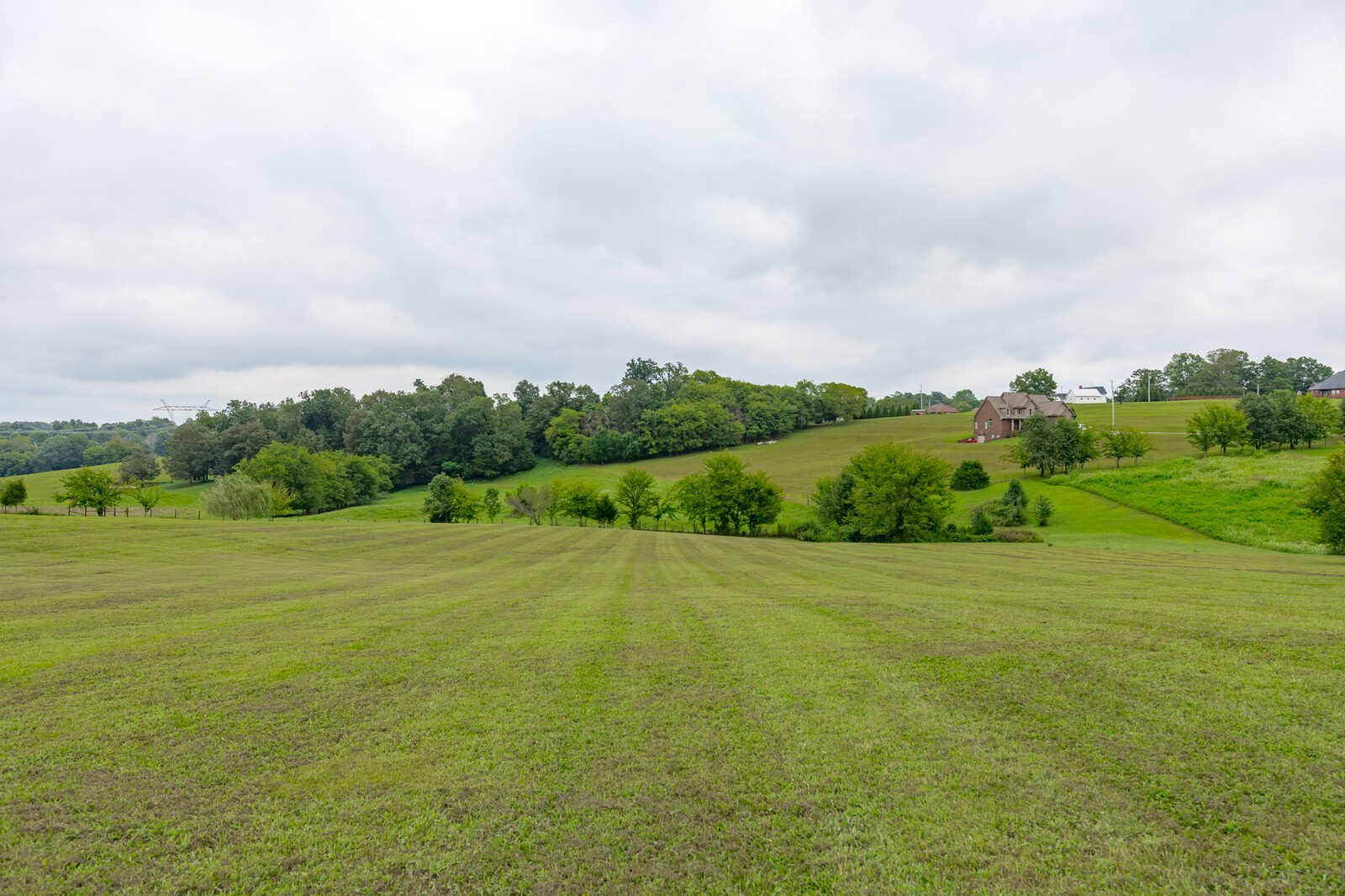 3651 Blackford Hills Road Cunningham, TN 37052 - Photo 6 of 32 Gallery Image 6