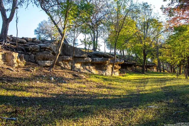 a view of backyard with green space