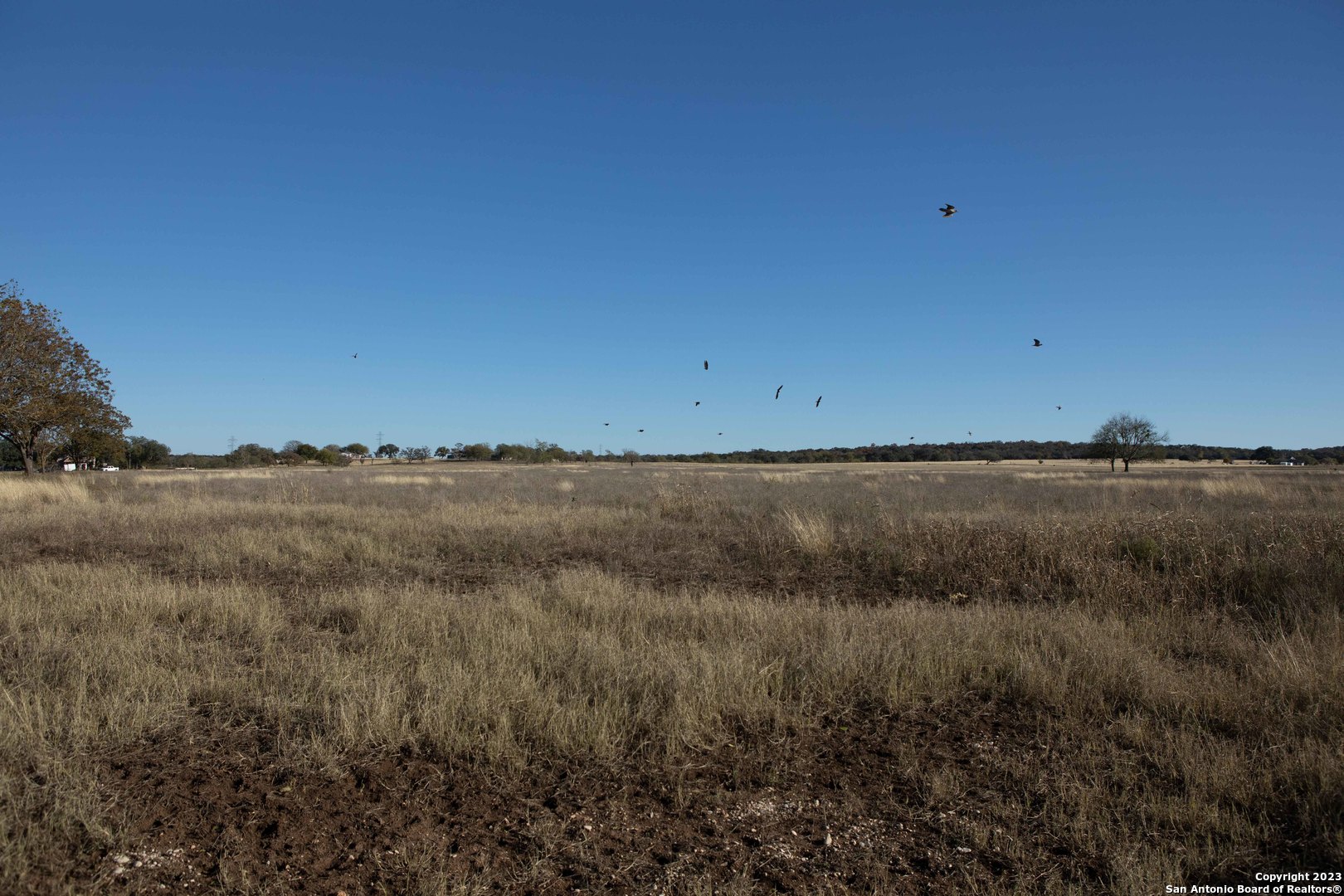 46 Fm 1621 Comfort, TX 78013 - Photo 38 of 48