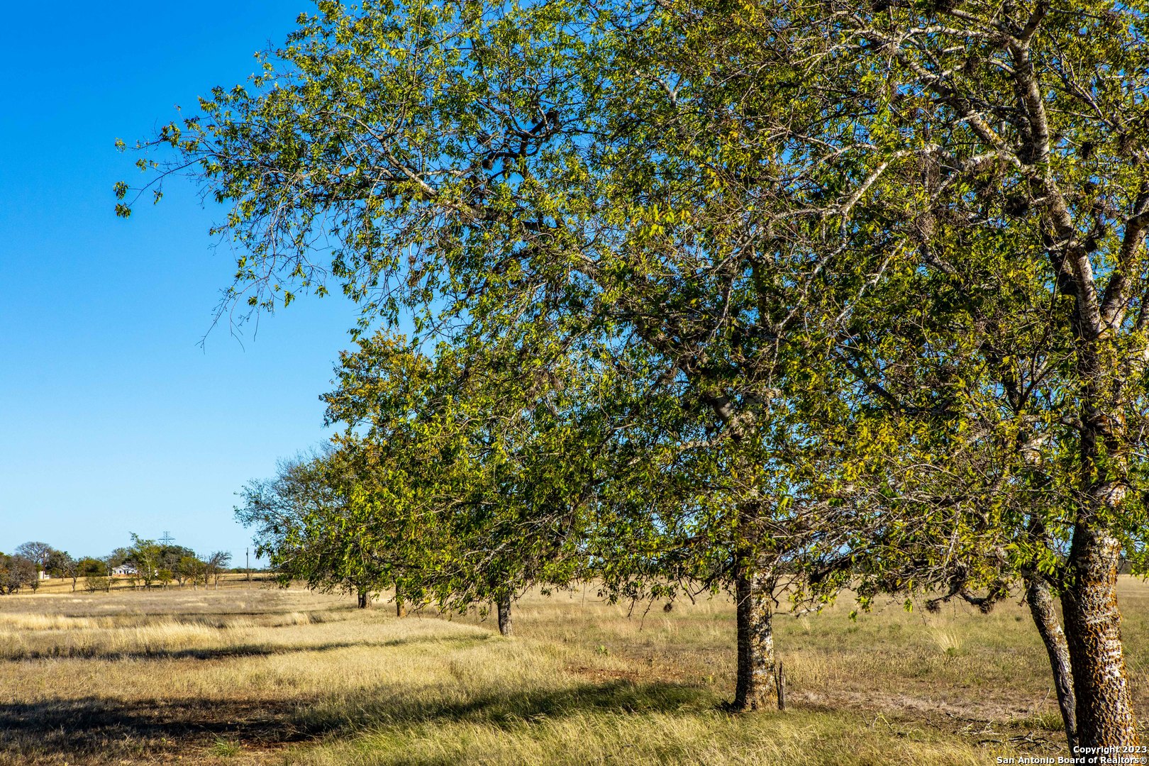 46 Fm 1621 Comfort, TX 78013 - Photo 43 of 48 a view of a yard with mountain