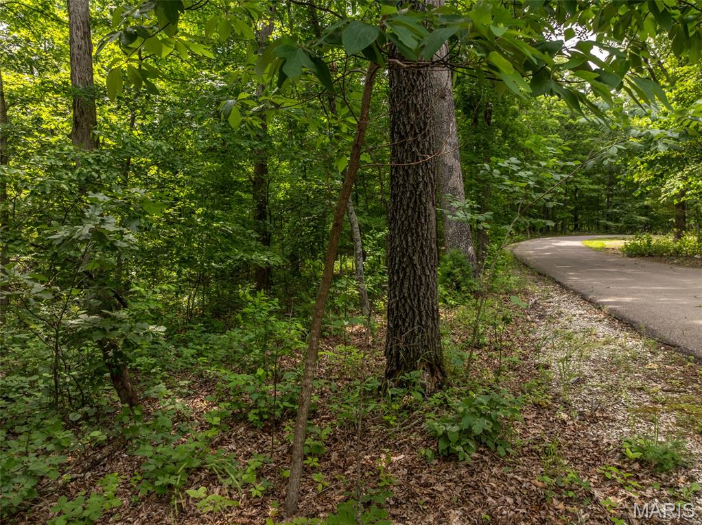 2528 Alpine Trails Drive Innsbrook, MO 63390 - Photo 11 of 12