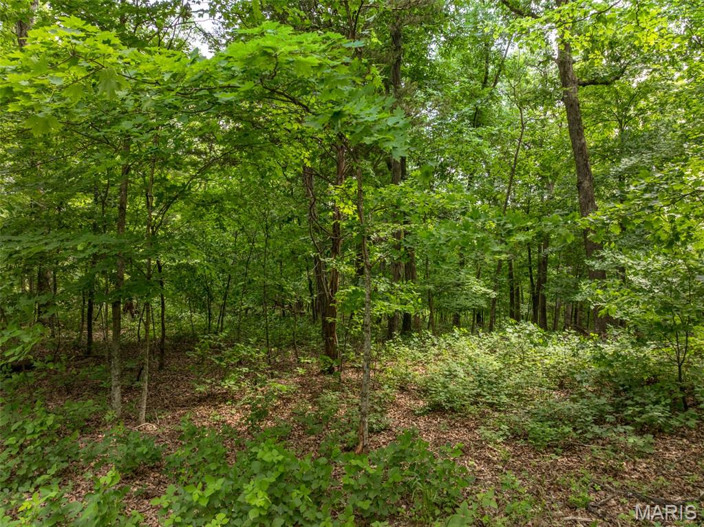 2528 Alpine Trails Drive Innsbrook, MO 63390 - Photo 12 of 12