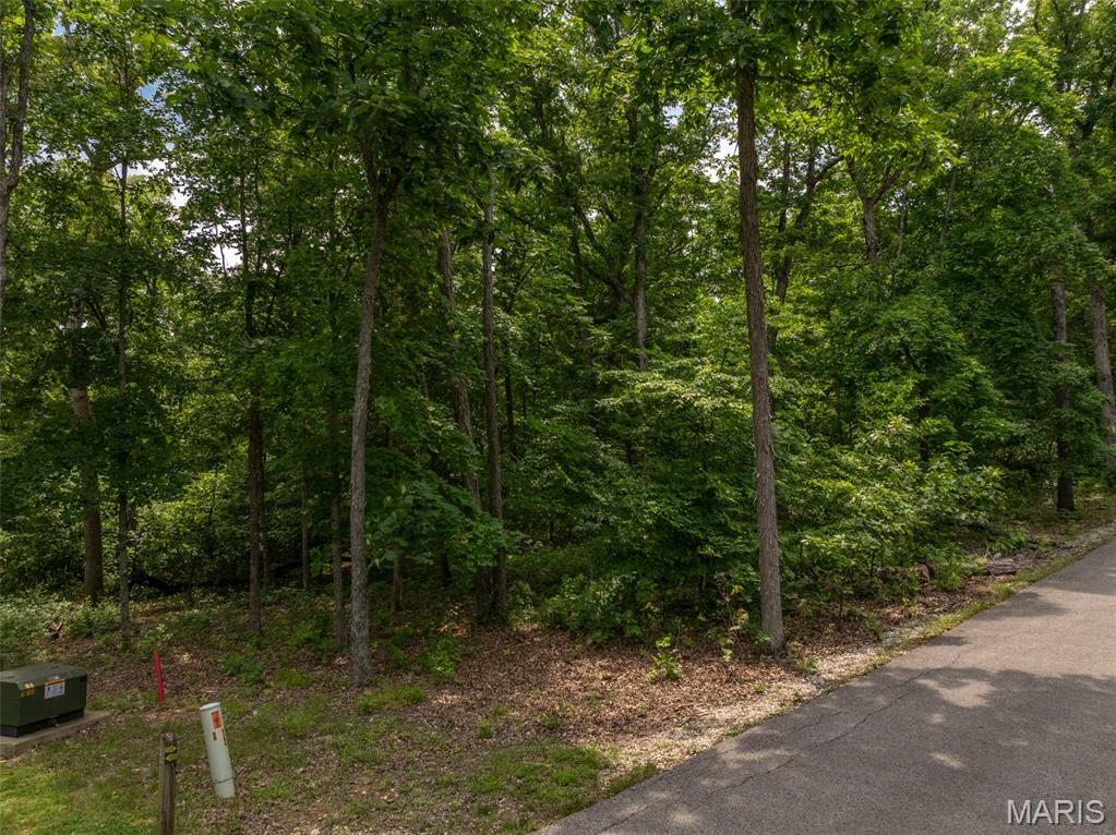 2528 Alpine Trails Drive Innsbrook, MO 63390 - Photo 2 of 12