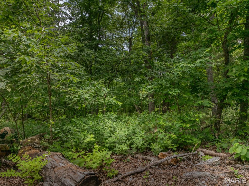 2528 Alpine Trails Drive Innsbrook, MO 63390 - Photo 3 of 12