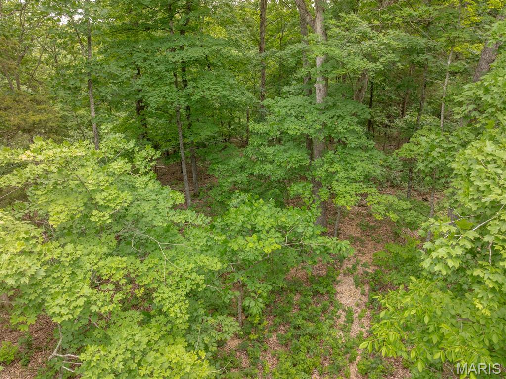 2528 Alpine Trails Drive Innsbrook, MO 63390 - Photo 4 of 12