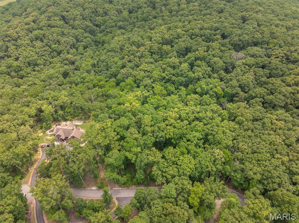 2528 Alpine Trails Drive Innsbrook, MO 63390 - Photo 6 of 12