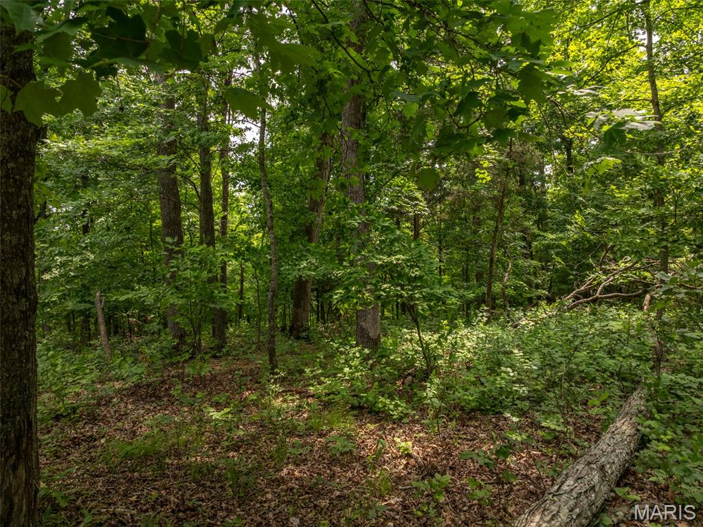 2528 Alpine Trails Drive Innsbrook, MO 63390 - Photo 10 of 12