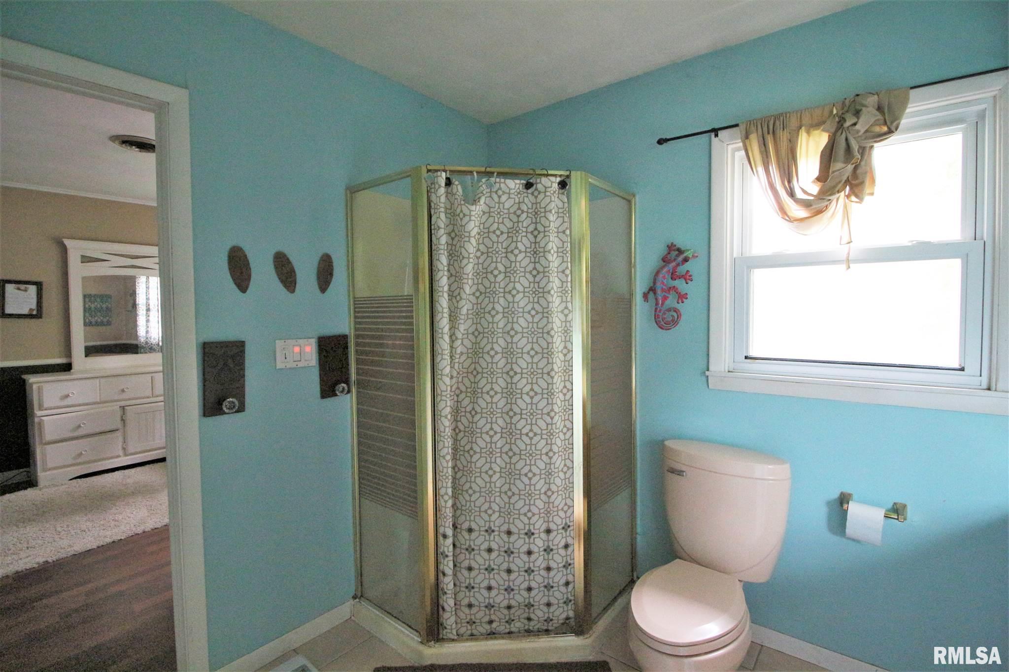 30 White Birch Road Springfield, IL 62712 - Photo 27 of 46