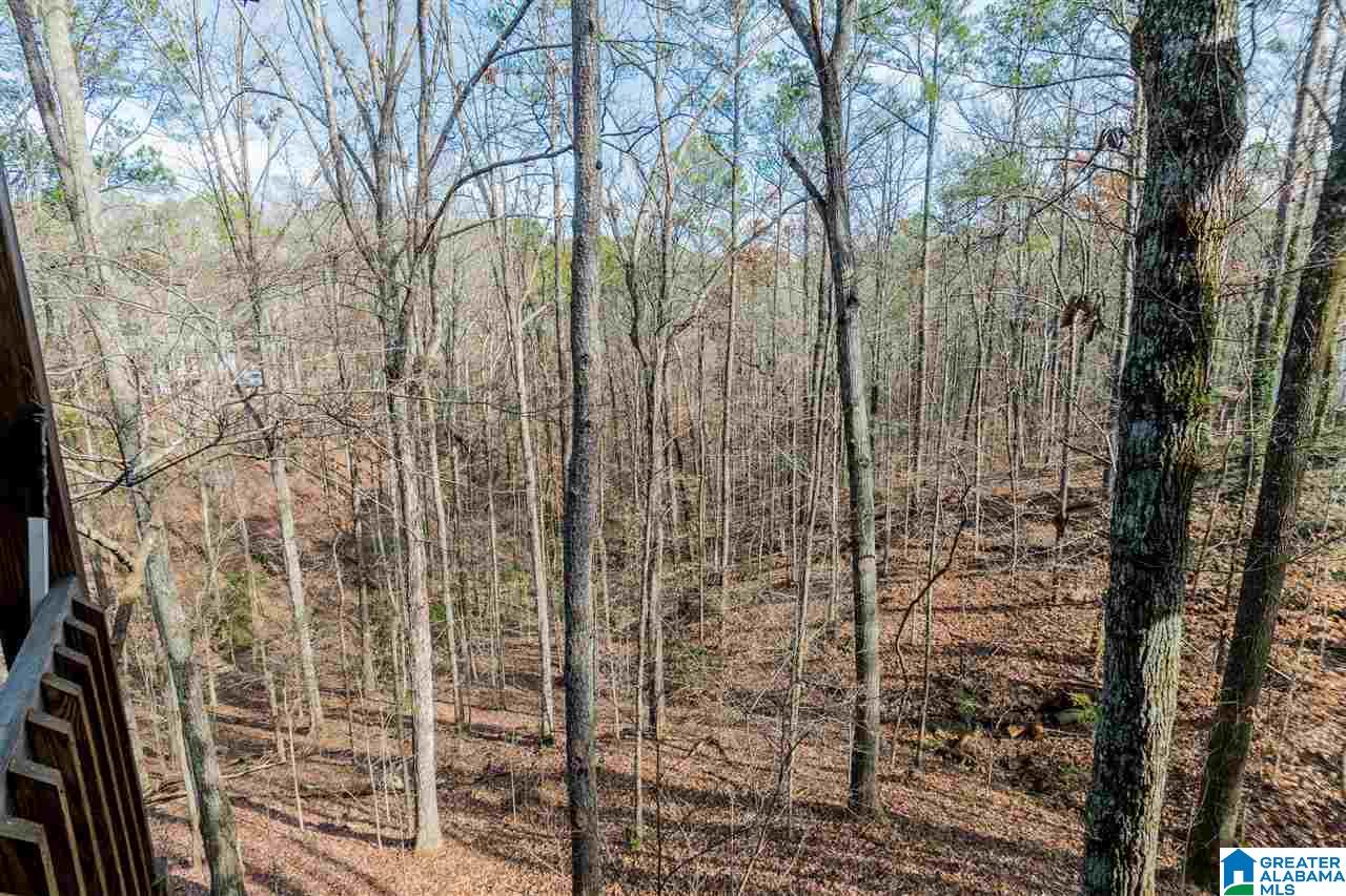744 Dividing Ridge Drive Birmingham, AL 35244 - Photo 48 of 50