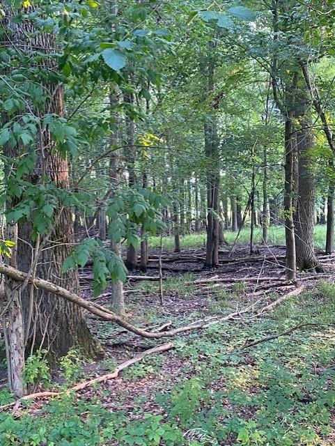 7762 Mason Road Yale, MI 48097 - Photo 25 of 40
