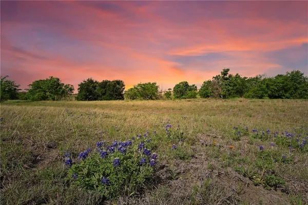 a view of a field with a tree