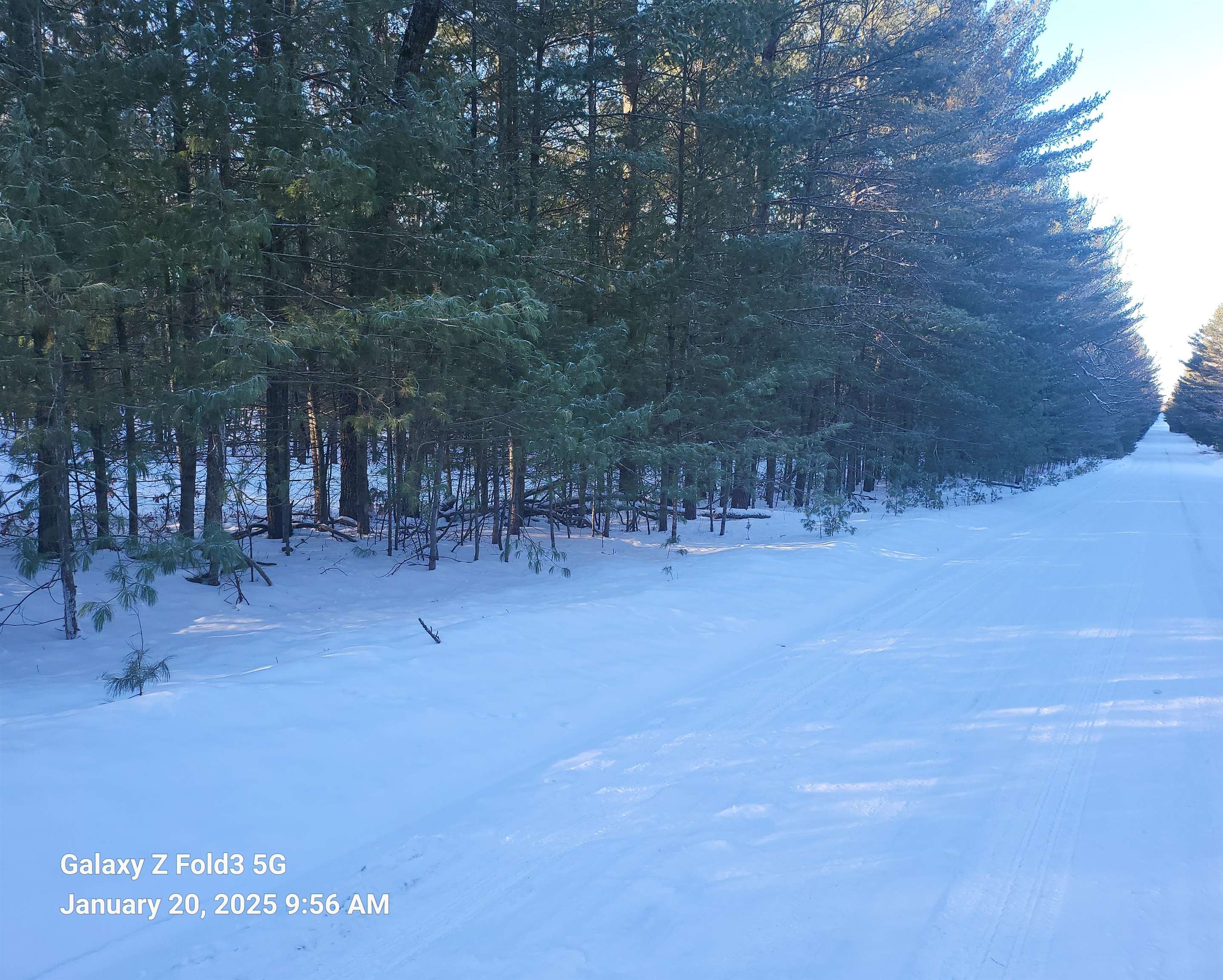 144 East E Road Roscommon, MI 48653 - Photo 3 of 5