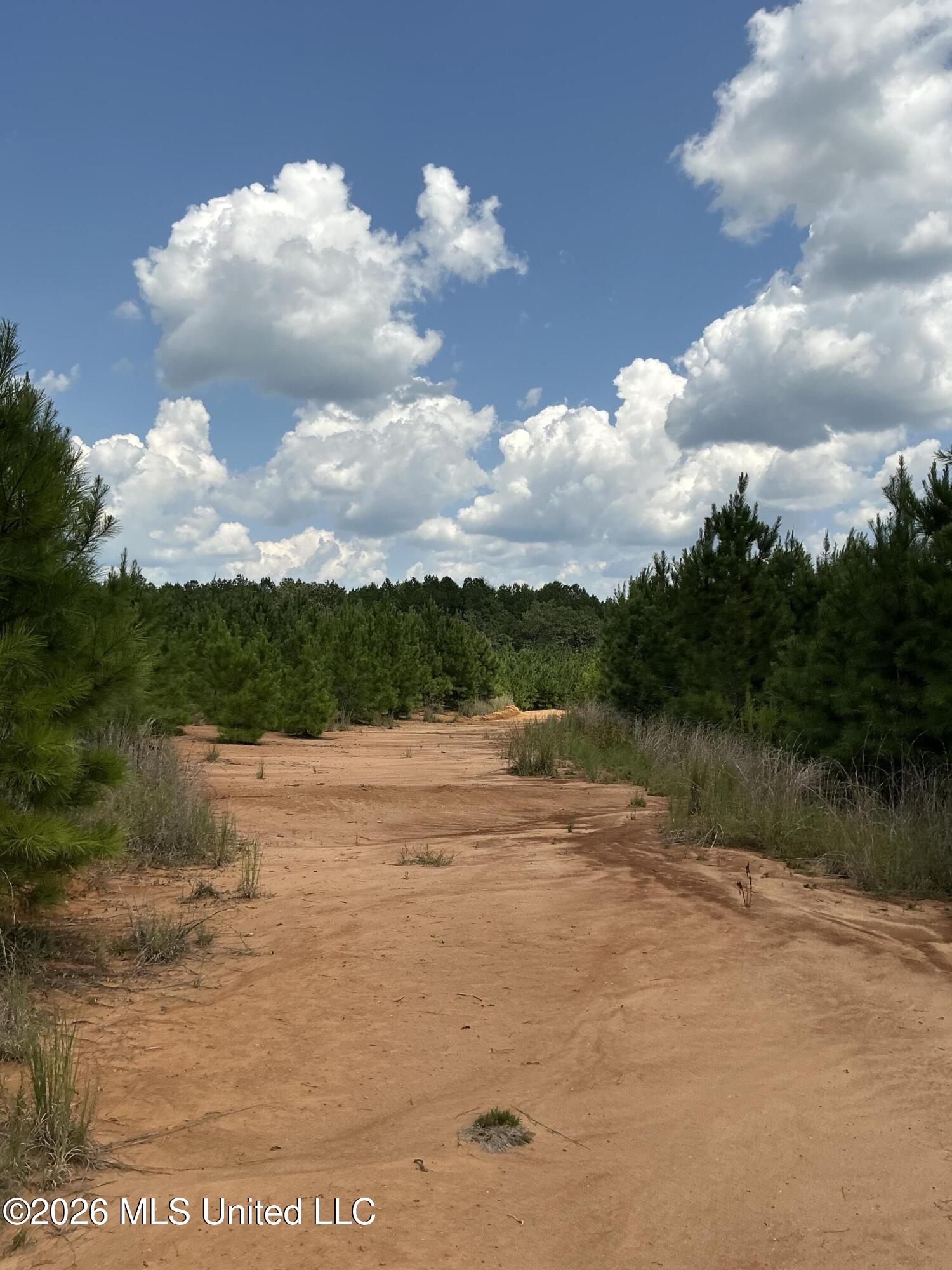 Smithtown Road Tylertown, MS 39667 - Photo 1 of 18 IMG_0024