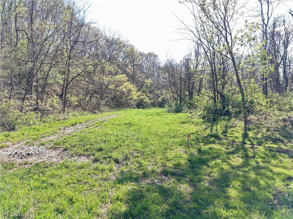 0 Harrons Ridge Road Dexter City, OH 45727 - Photo 11 of 29